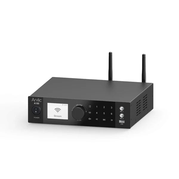 Arylic A100 100W x 2 Power Amplifier