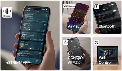 Arylic A100 100W x 2 Power Amplifier